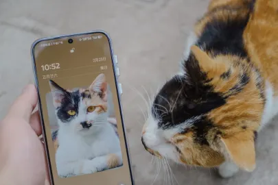 Vesper Casino App Mobile